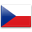 Google Translate Portuguese to Czech